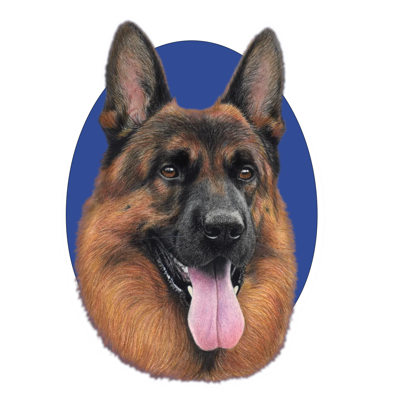 The Definitive German Shepherd Dog