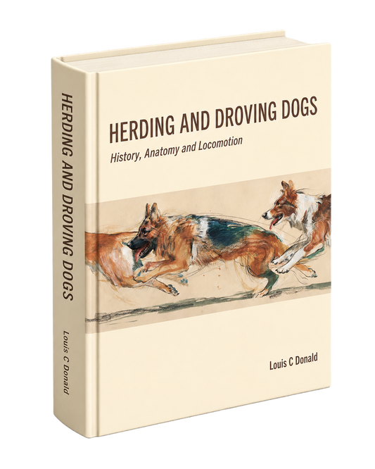 Herding and Droving Dogs:  History, Anatomy and Locomotion